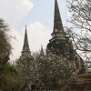 Dag 9: Ayutthaya